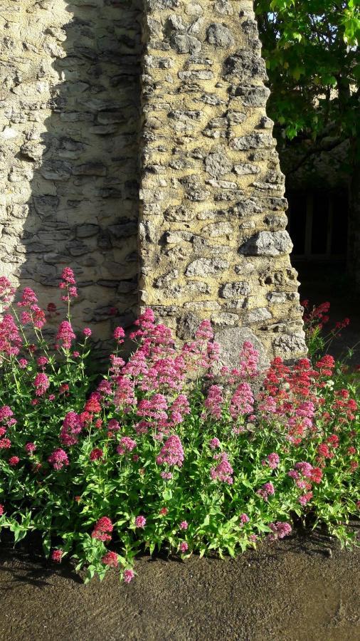 Gite Aux Tournesols Malaucene Luaran gambar