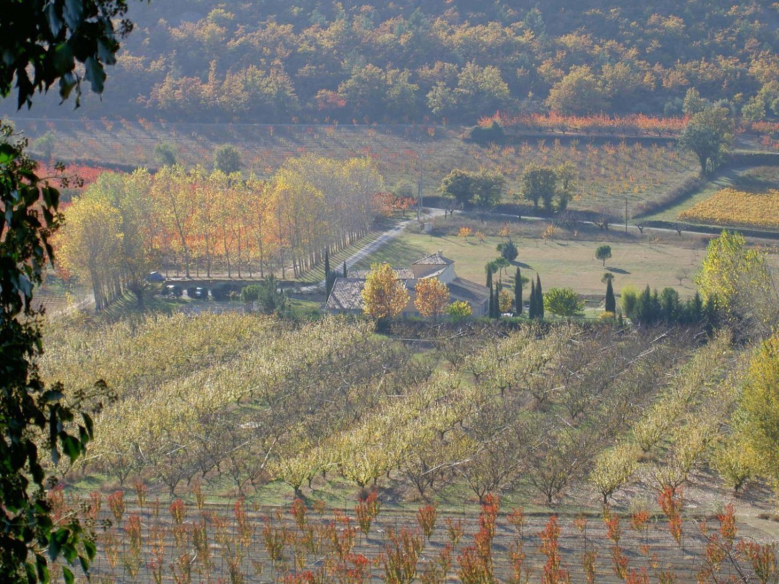 Gite Aux Tournesols Malaucene Luaran gambar